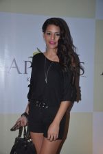 at Apicus lounge launch in Mumbai on 29th March 2012 (63).JPG